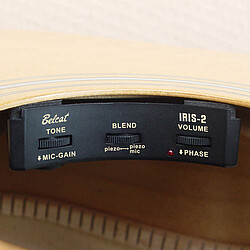 Belcat Iris-2 Sound Hole Preamp  