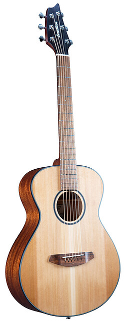 Breedlove® Discovery S Companion  