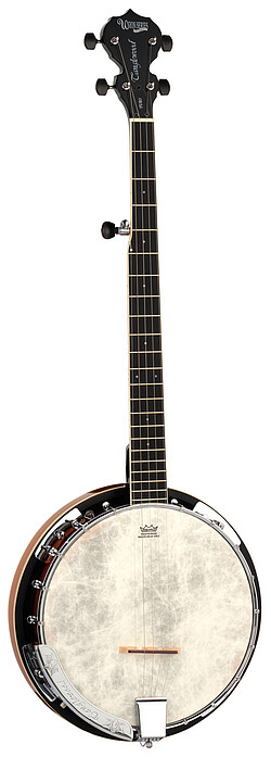 Tanglewood TUB5 Union Banjo 5-string  