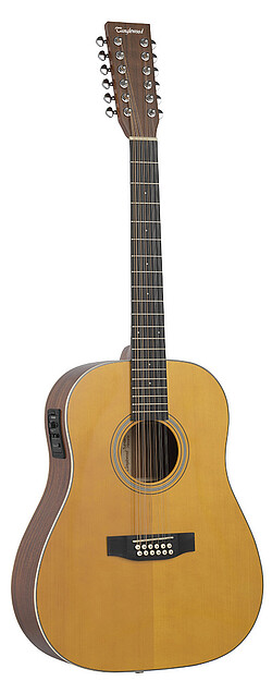 Tanglewood TW40-12SDANE Sundance Hist.  