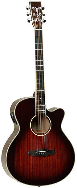 Tanglewood TW4CE AVB Winterleaf *  