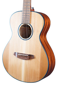 Breedlove® Discovery S Companion  