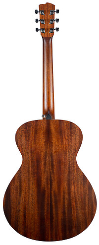 Breedlove® Discovery S Concerto SPR  