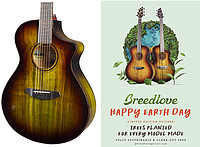 Breedlove® Pursuit Ex.S Concert CE Earth 