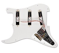 EMG DG20 David Gilmour Pickguard  