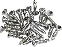 Fender® PG Mounting Screws chrom (24)  