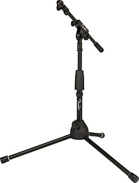 Fender® Telescoping Boom Amp/​Mic Stand  