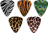 GA Picks Animal Print Multi Pack (5)  