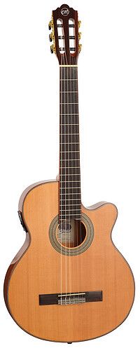 Tanglewood EMDC7 E.​Madera Dominar TL  