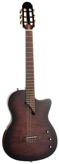 Tanglewood EMDC8BK E.​Madera Dominar TL  