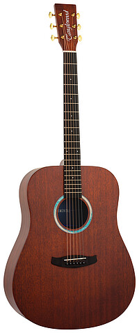 Tanglewood TE5BL Elemental Dreadnought  