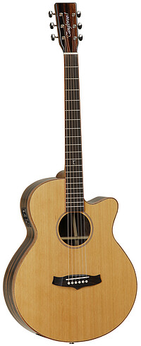 Tanglewood TJ4CE Java Exotic S. Folk  