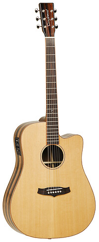 Tanglewood TJ5CE Java Exotic Dreadnought 