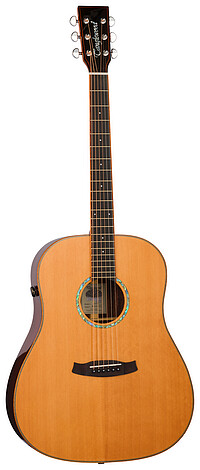 Tanglewood TRS5SE Rosewood Smart Dreadn. 
