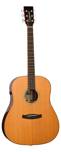 Tanglewood TRS6SE Rosew. Smart Dreadn.  