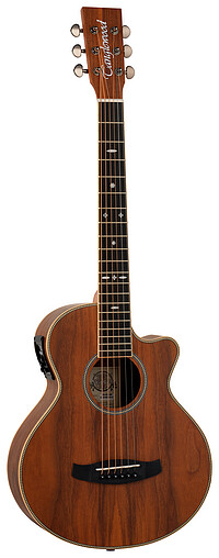 Tanglewood TRU2CEAW Reunion Pro Travel  