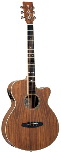 Tanglewood TRU4CEAK Reunion Pro S.​Folk  