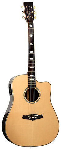 Tanglewood TW1000HSRCE Heritage Dreadn.  