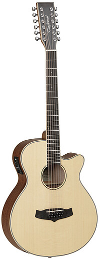 Tanglewood TW12CE Winterleaf  