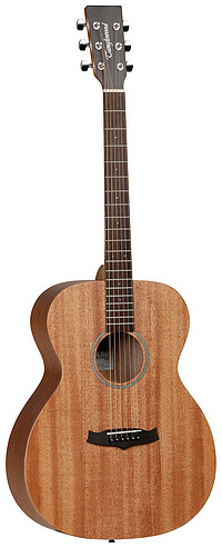 Tanglewood TW2 Winterleaf inkl. Hardcase 