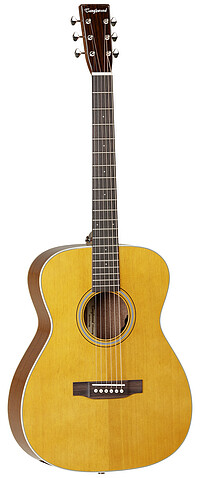 Tanglewood TW40OANELH Sundance Hist.​Folk 