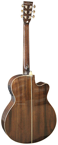 Tanglewood TW4CE AVB Winterleaf LEFTHAND 