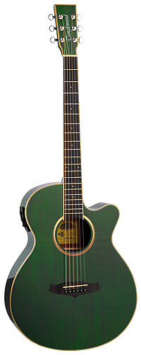 Tanglewood TW4CEFG Winterleaf S.​Folk Grn 