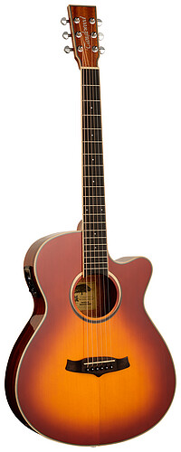Tanglewood TW4CESB Winterleaf S.​Folk SB  