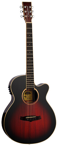 Tanglewood TW4TLCEAVB Winterl. TL S.​Folk 