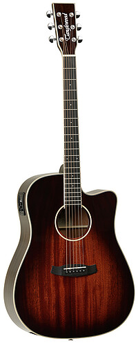 Tanglewood TW5CE AVB Winterleaf  