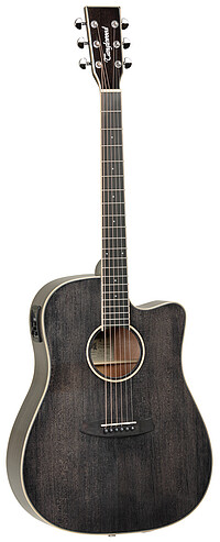 Tanglewood TW5CEBS Winterleaf Blk Shadow 