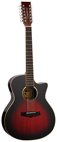 Tanglewood TW612CEAVB Winterl. 12str. VC 