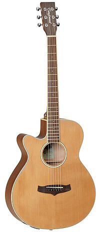 Tanglewood TW9E LH Winterleaf lefthand  