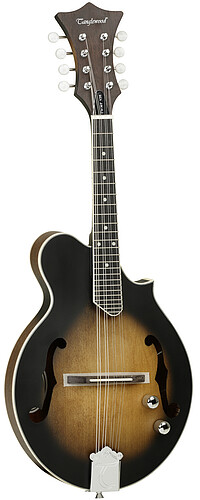 Tanglewood TWMFVSE Union Mandolin Scroll 