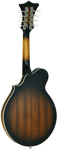 Tanglewood TWMFVSE Union Mandolin Scroll 