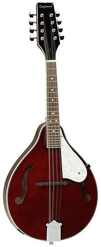 Tanglewood TWMTWR Union Mandolin F-​hole  
