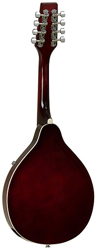 Tanglewood TWMTWR Union Mandolin F-hole  