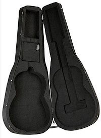 Tanglewood TWSDC Hard Foam Case Dreadn.  