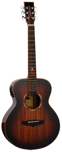 Tanglewood TWX1EK Winterl.​Koa Ex. M.​Folk 