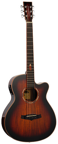 Tanglewood TWX4CEK Winterl.​Koa Ex.​S.Folk 